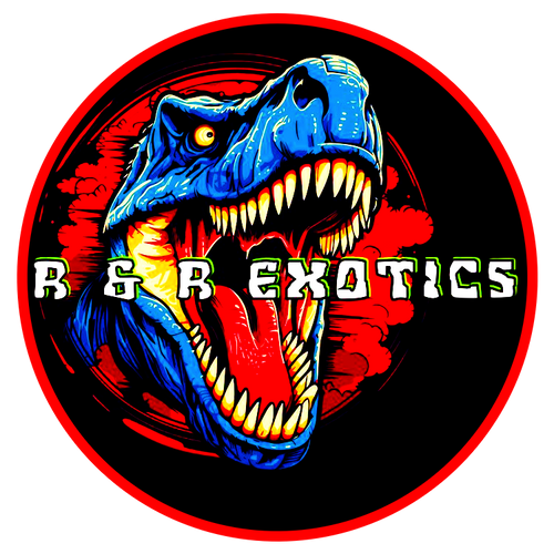 R&R Exotics